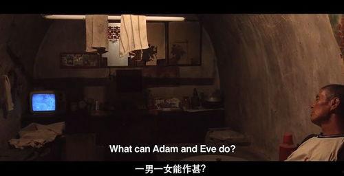 国产老人性视频在线,揭秘夕阳红时代的情感与生活