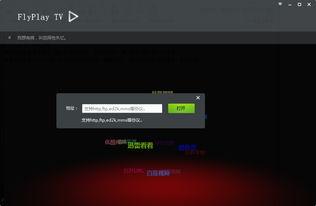 国产色视频播放器